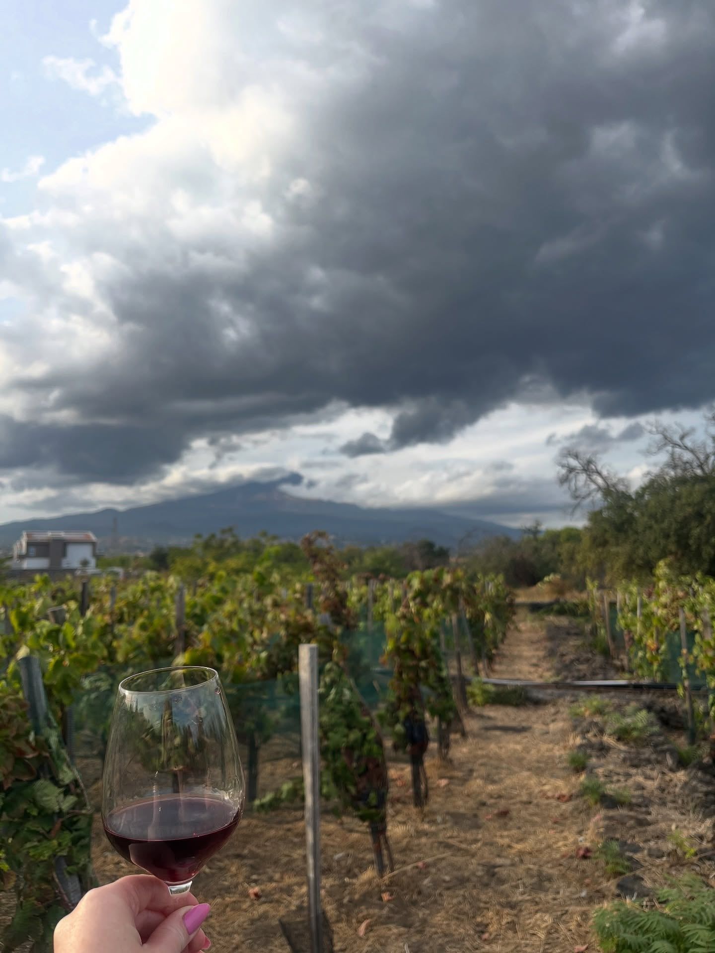Mount Etna tour visitor photo
